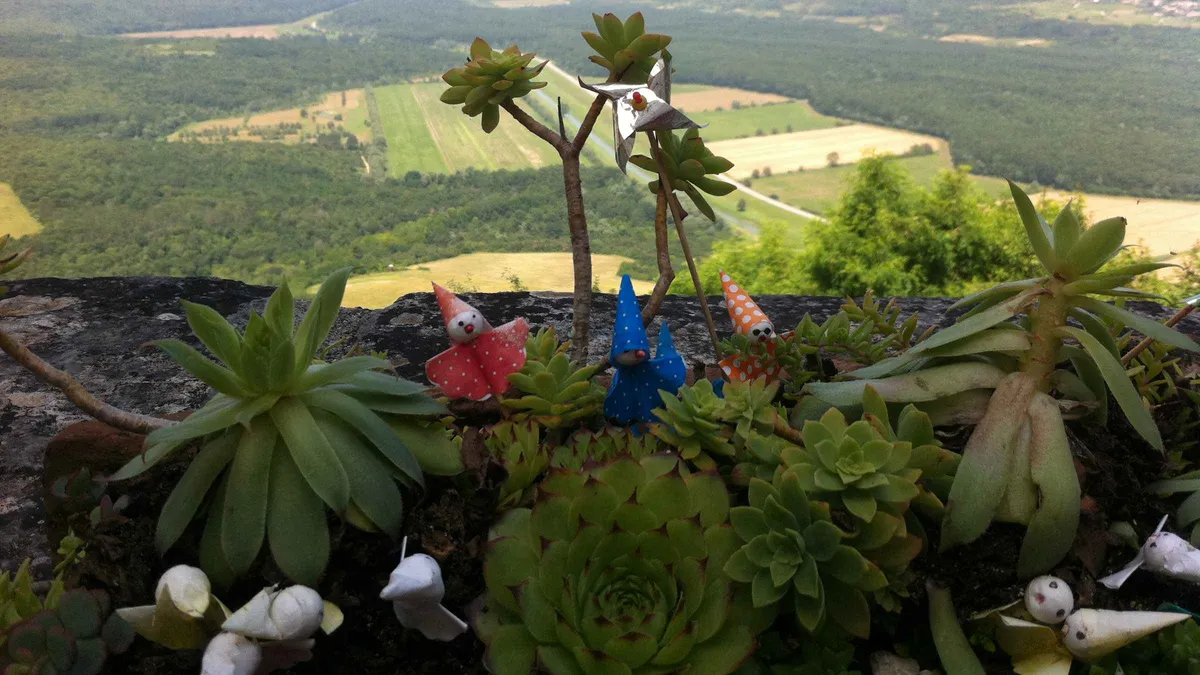 Inner Istria hill towns tour with Mirna valley views