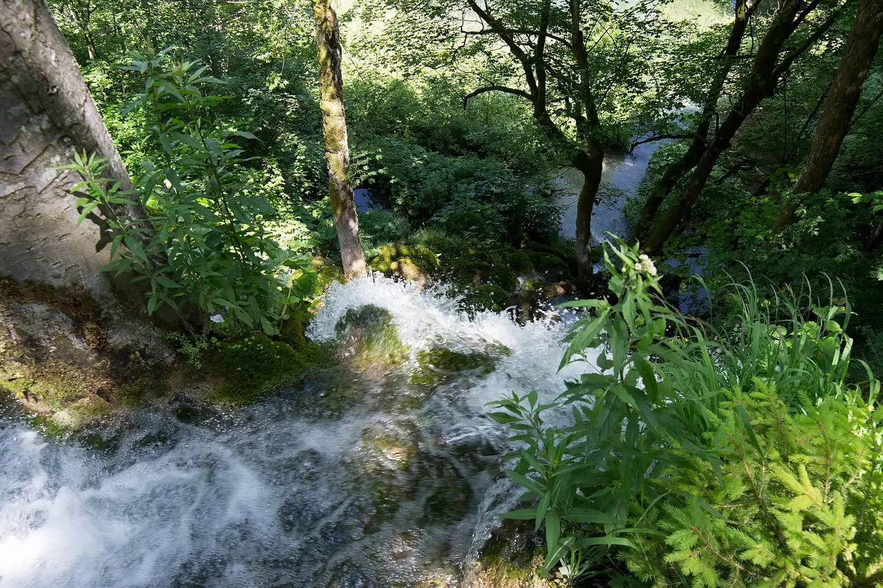 Plitvice lakes and Rastoke mills on a small-group Zagreb day trip